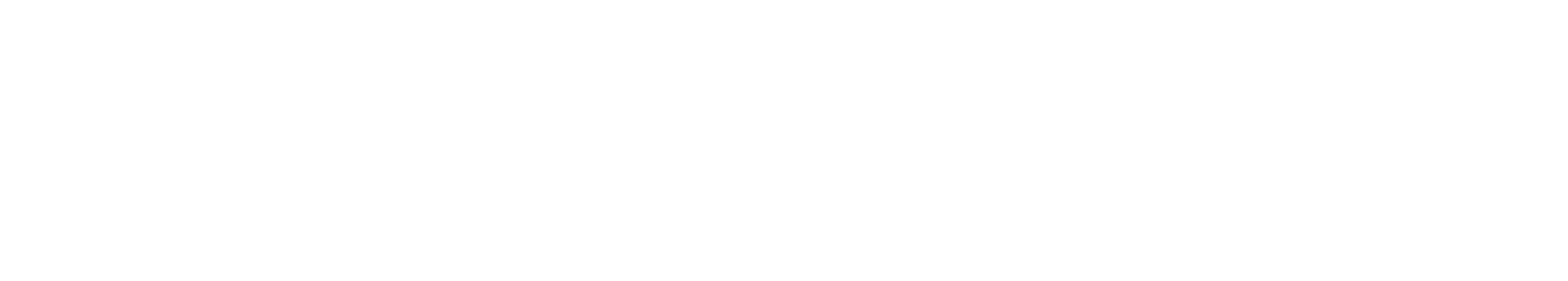 HulyPay Logo and Brand